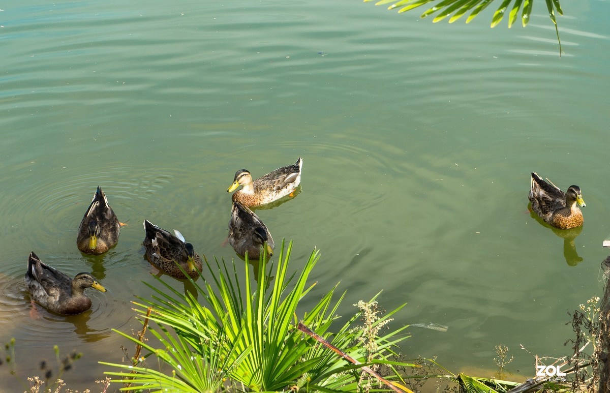 瞧这一家子（5）