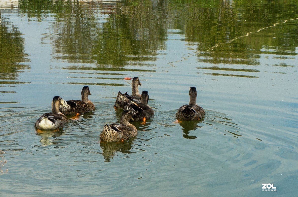 瞧这一家子（5）