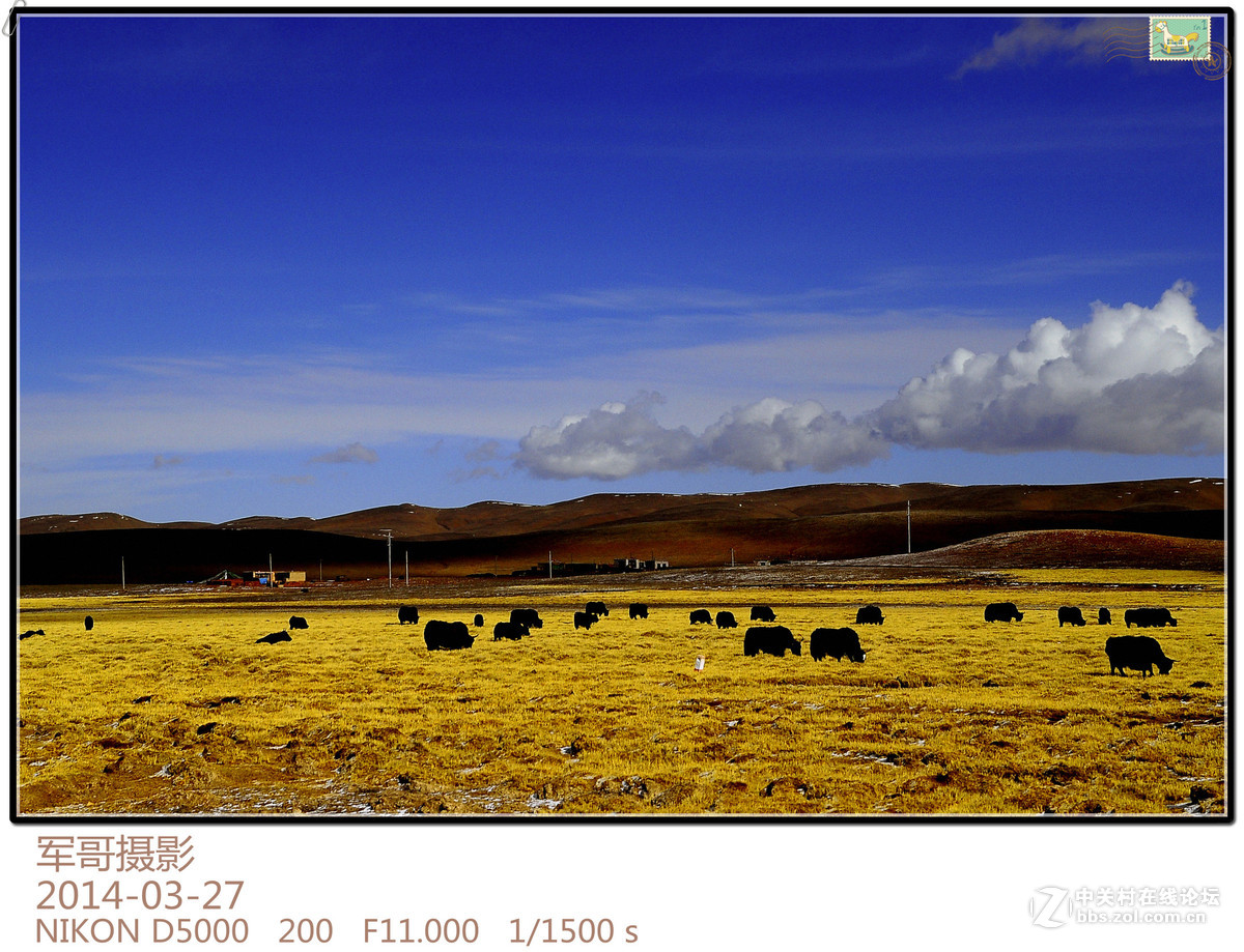 行走在世界屋脊---那曲