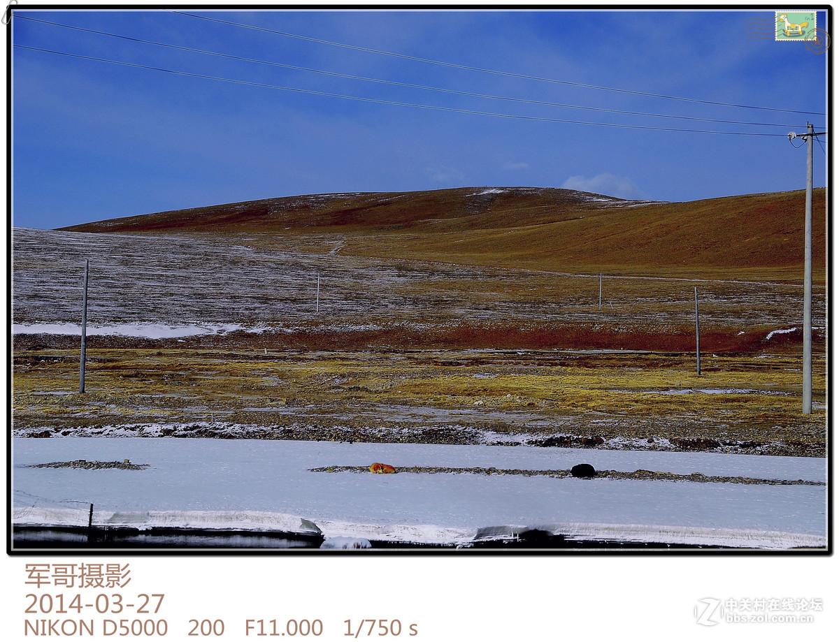 行走在世界屋脊---那曲