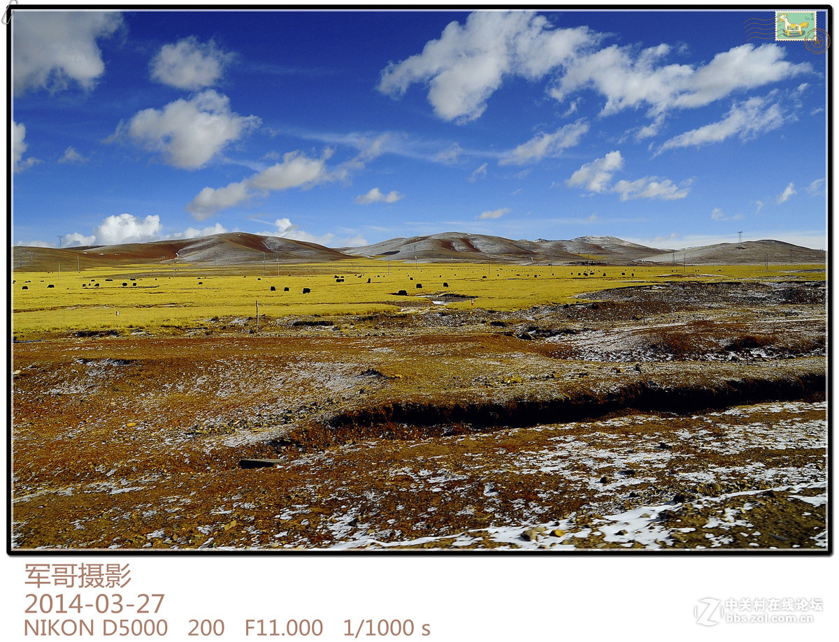 行走在世界屋脊---那曲