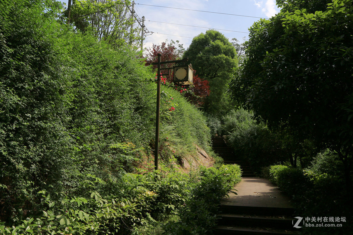 家门口风光(镜头佳能efs17-55.2.8usm)