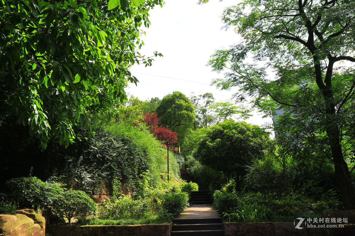 家门口风光(镜头佳能efs17-55.2.8usm)