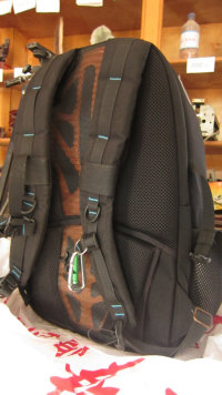 100元双肩专业摄影包，网上淘