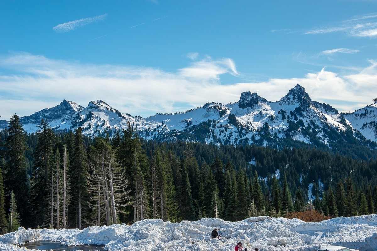西雅图雷尼尔雪山