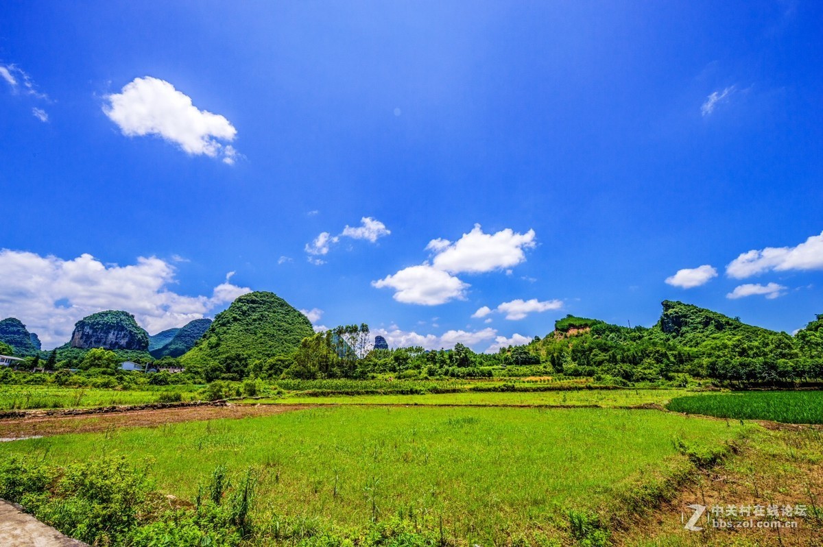 乡村田野风光风景记实拍摄 续-中关村在线摄影论坛