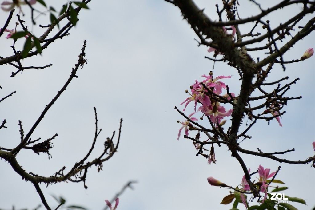 兄弟串门，旧款与新款的交锋。