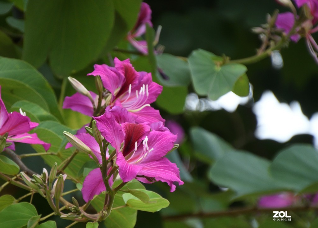 兄弟串门，旧款与新款的交锋。