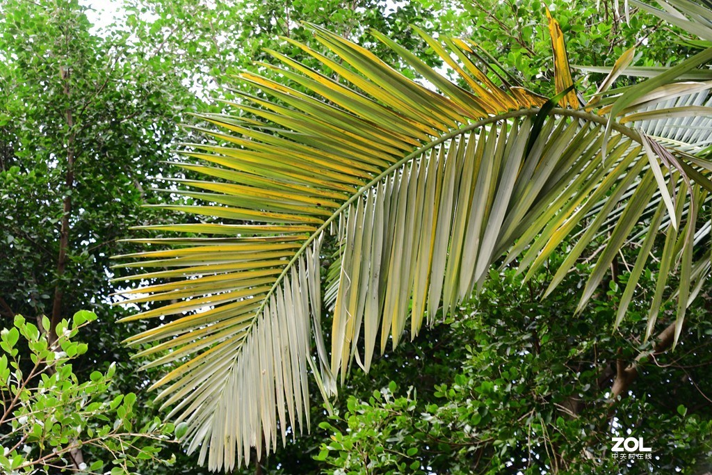 兄弟串门，旧款与新款的交锋。