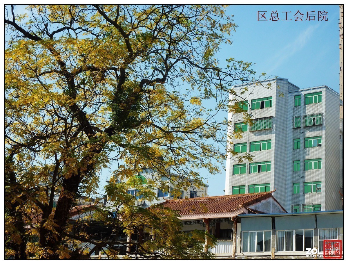 #版主坐堂#小五星空(中国)2019年十二月精品荟萃 下