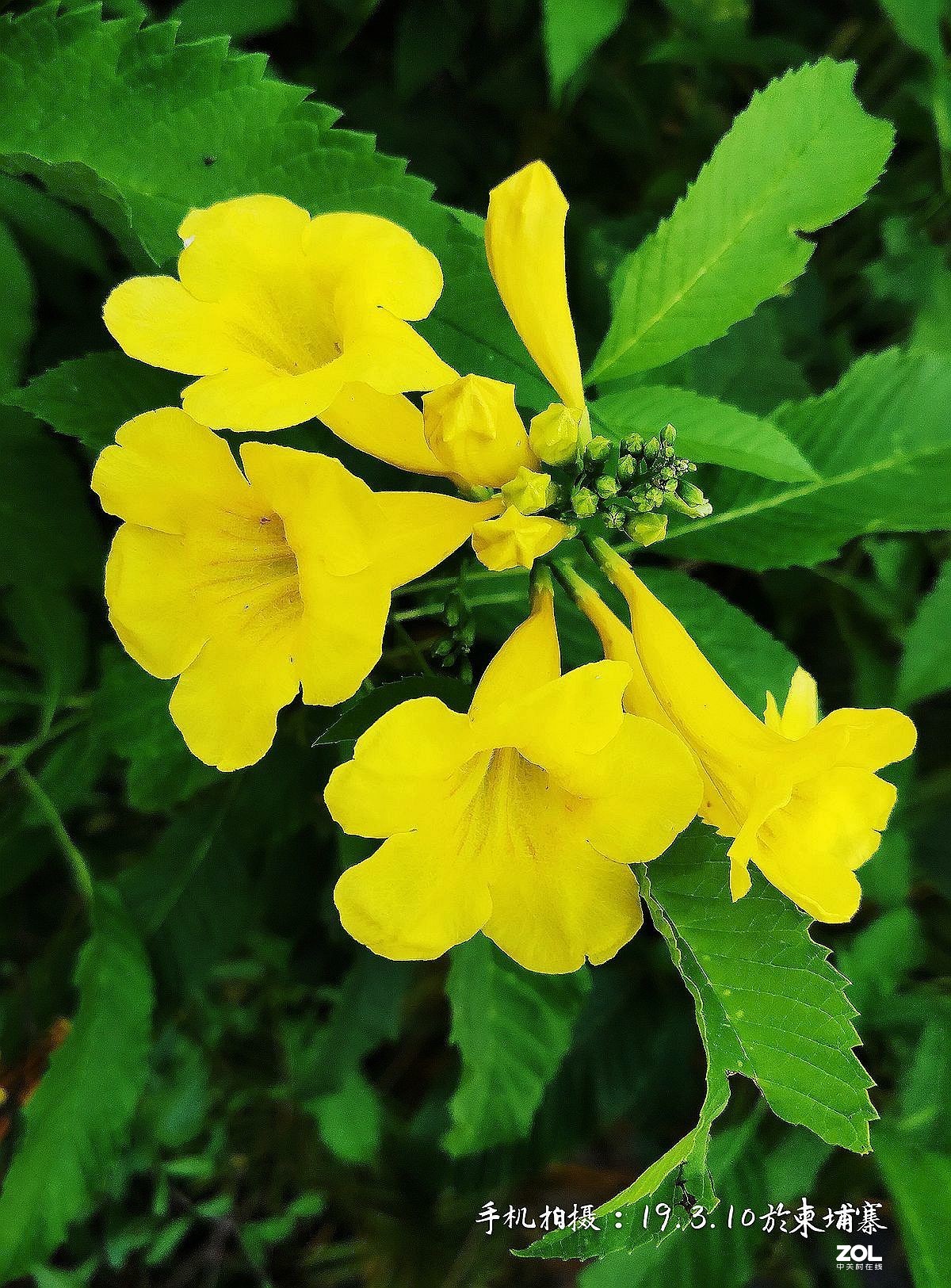 柬普寨游拍：（七）