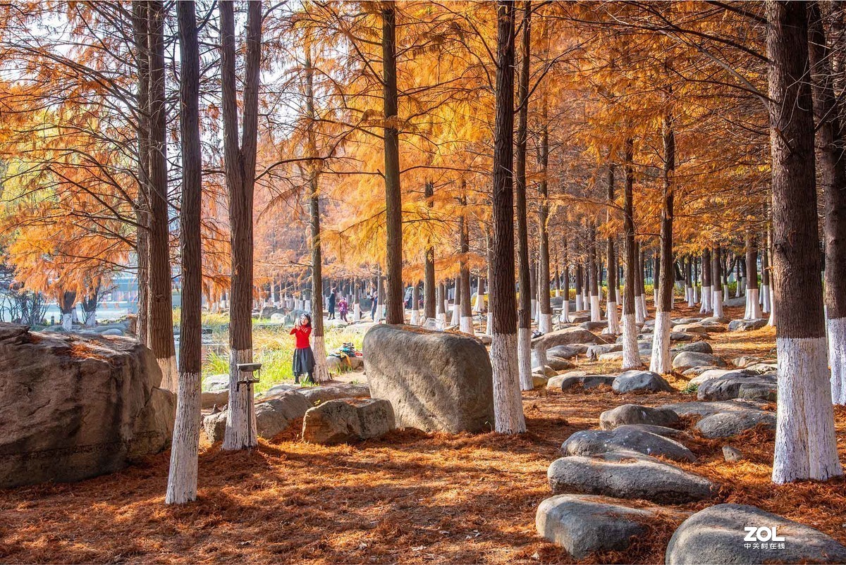 #版主坐堂#小五星空(中国)2019年十二月精品荟萃 下