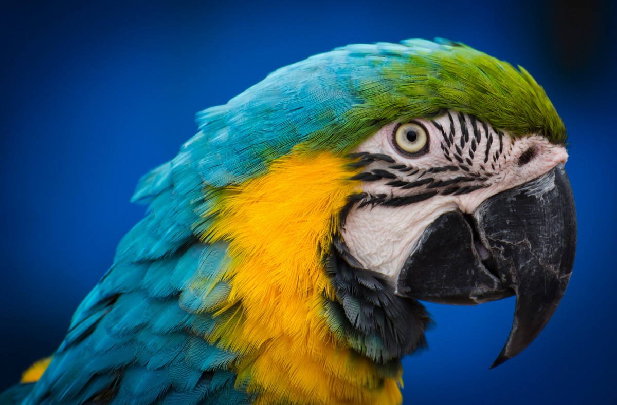 纯新手试拍“小老婆”，某宝1800?入手，觉得挺值O(∩_∩)O~