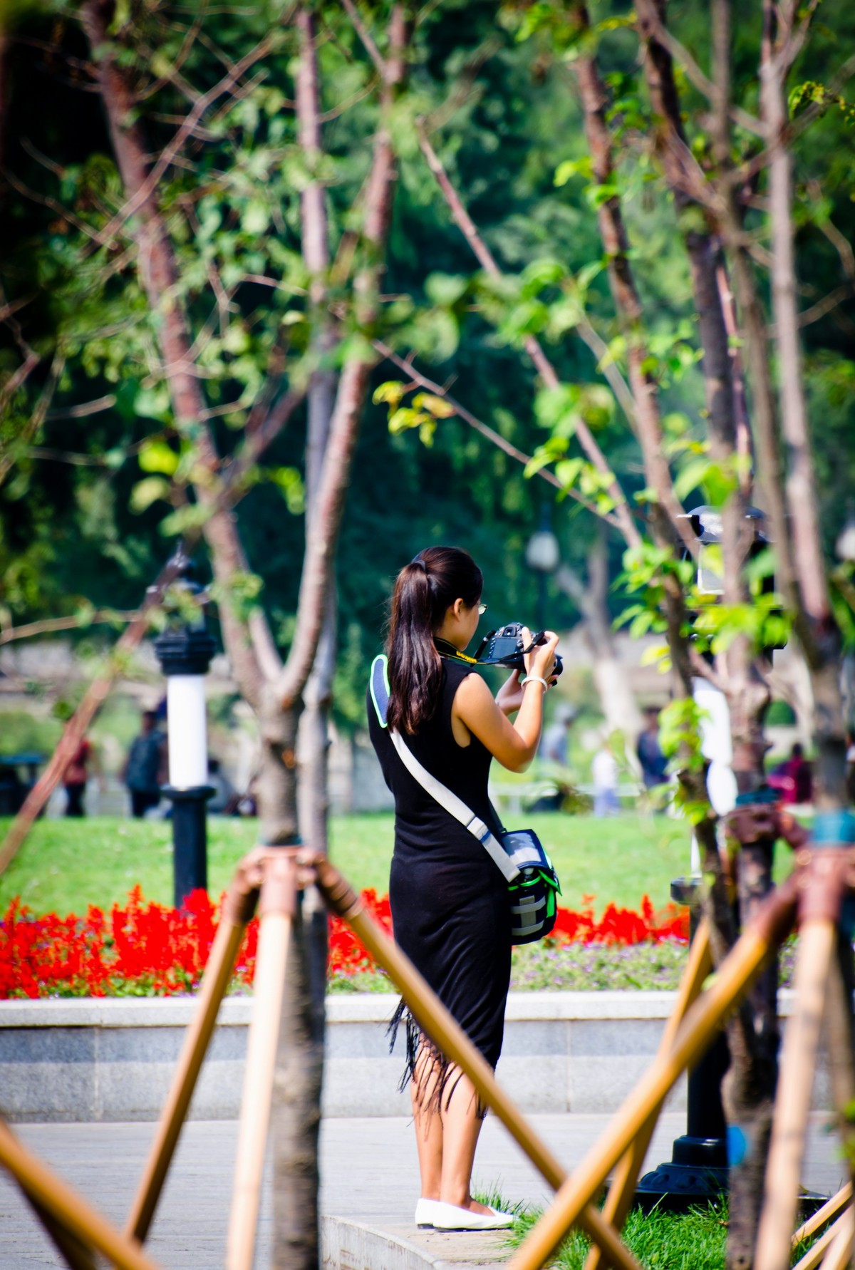 纯新手试拍“小老婆”，某宝1800?入手，觉得挺值O(∩_∩)O~