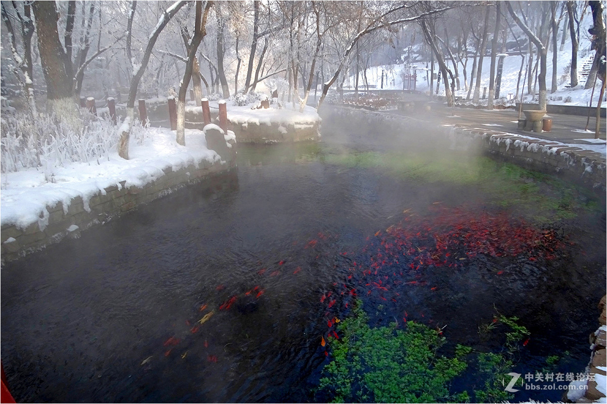 【 乌鲁木齐的冬天 （2016-2017） 】（11） ——水磨沟，蒸腾的雪景