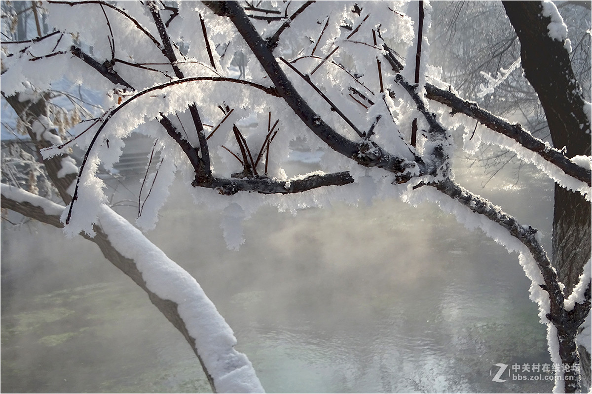 【 乌鲁木齐的冬天 （2016-2017） 】（11） ——水磨沟，蒸腾的雪景