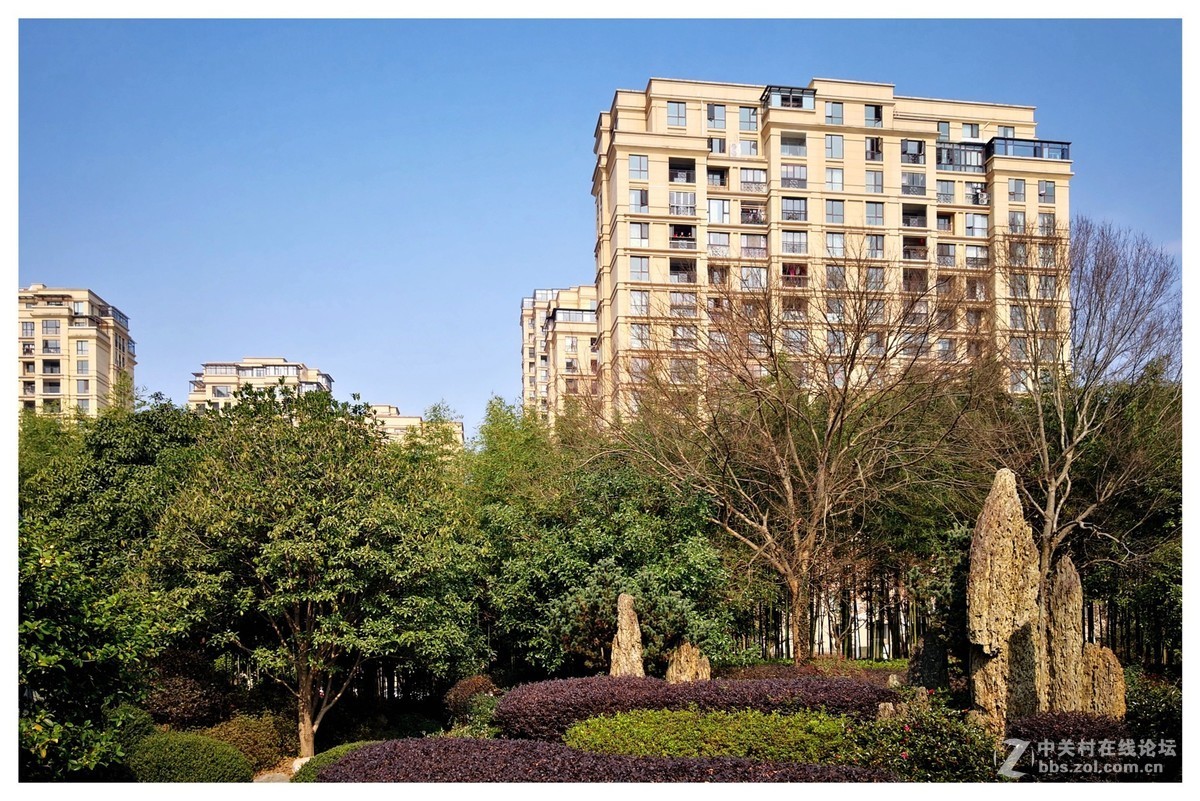 春节假期手机随拍！