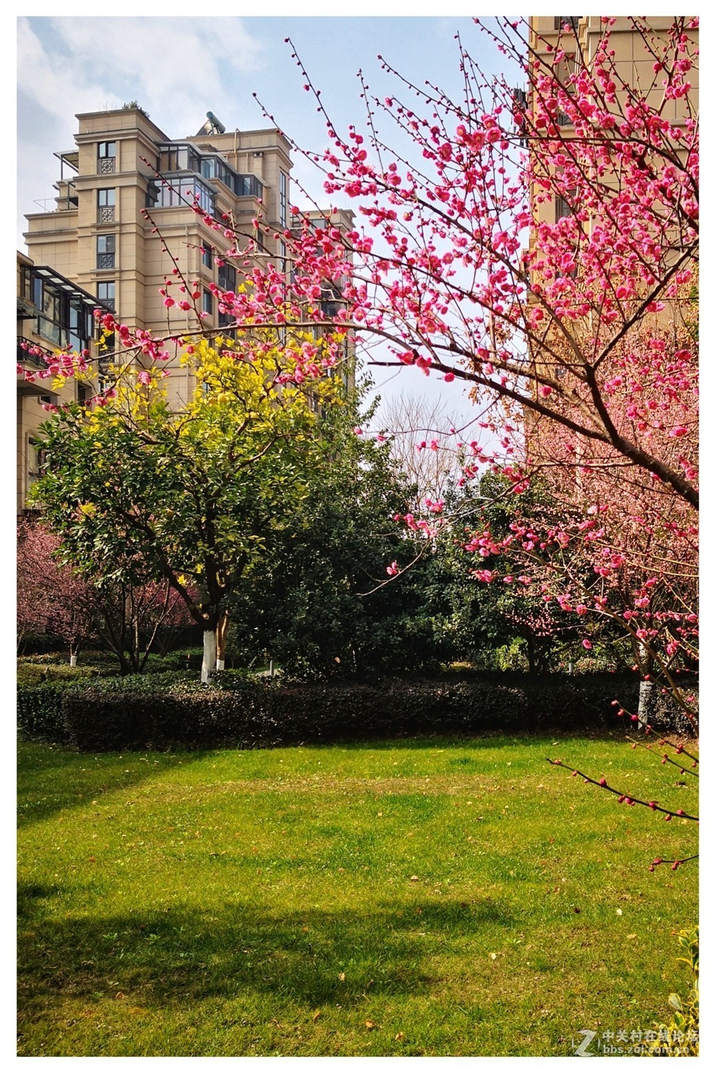 春节假期手机随拍！