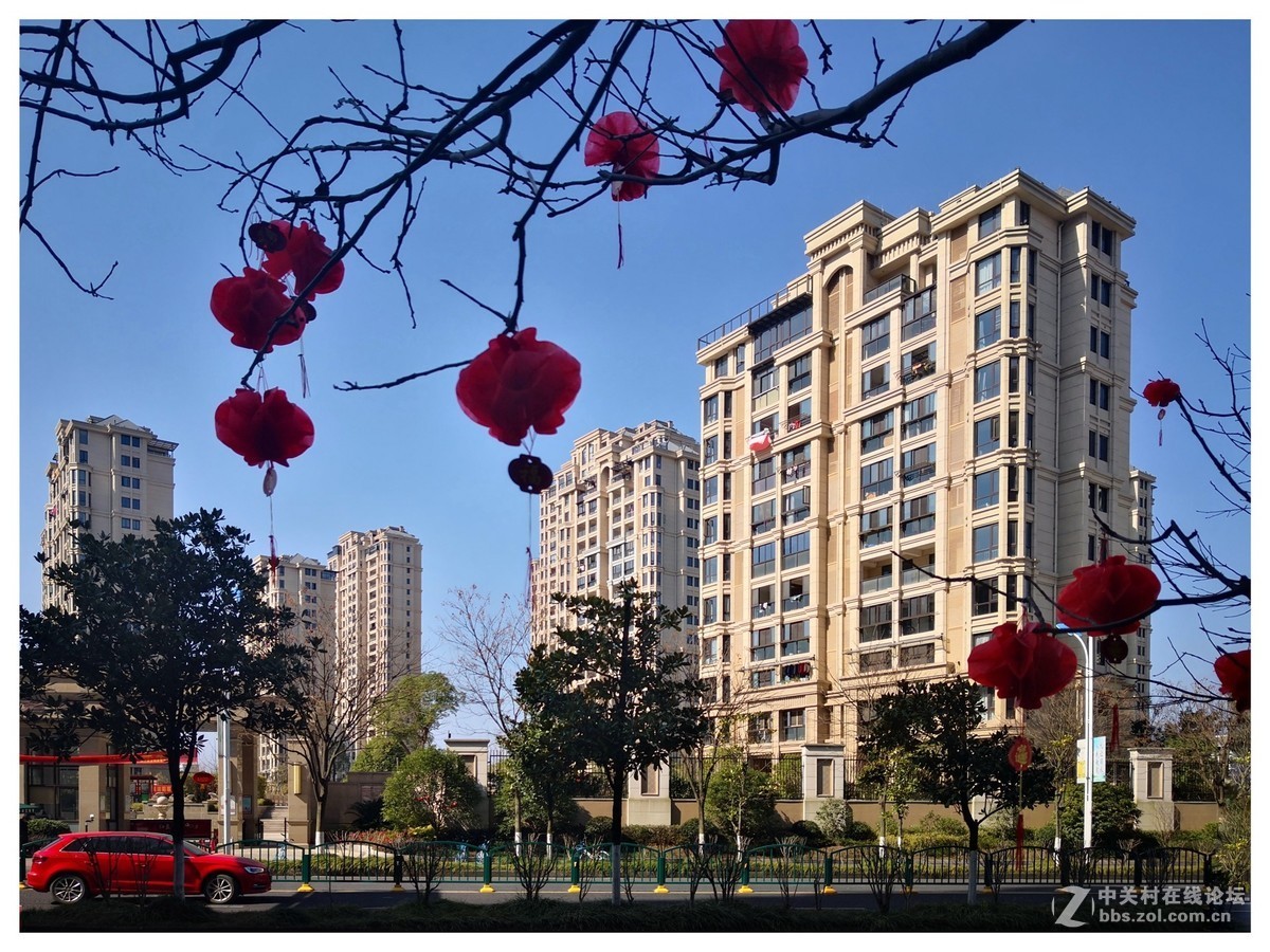 春节假期手机随拍！