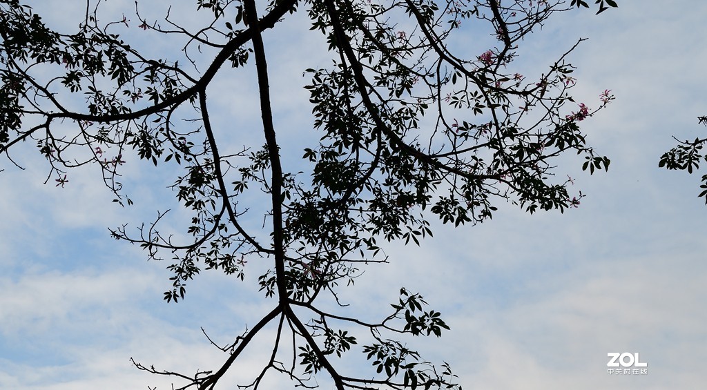 兄弟串门，旧款与新款的交锋。