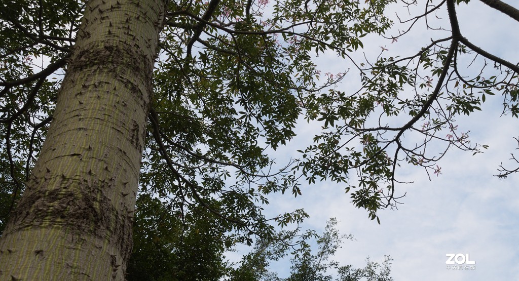 兄弟串门，旧款与新款的交锋。