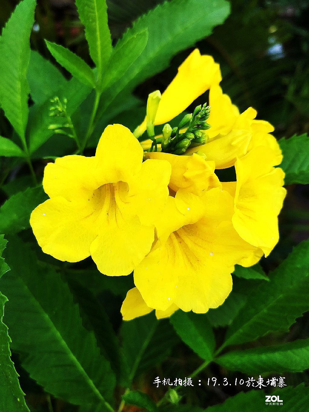 柬普寨游拍：（七）