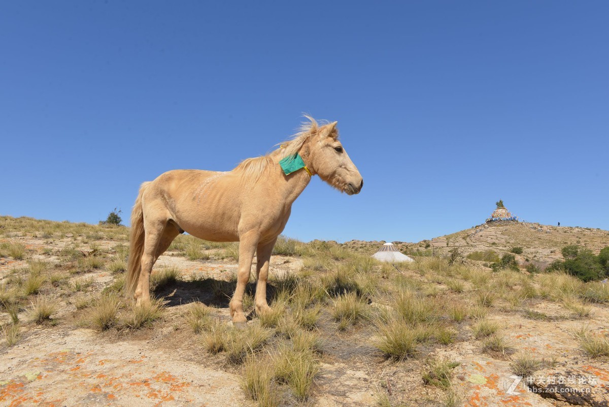哈撒儿景区风光