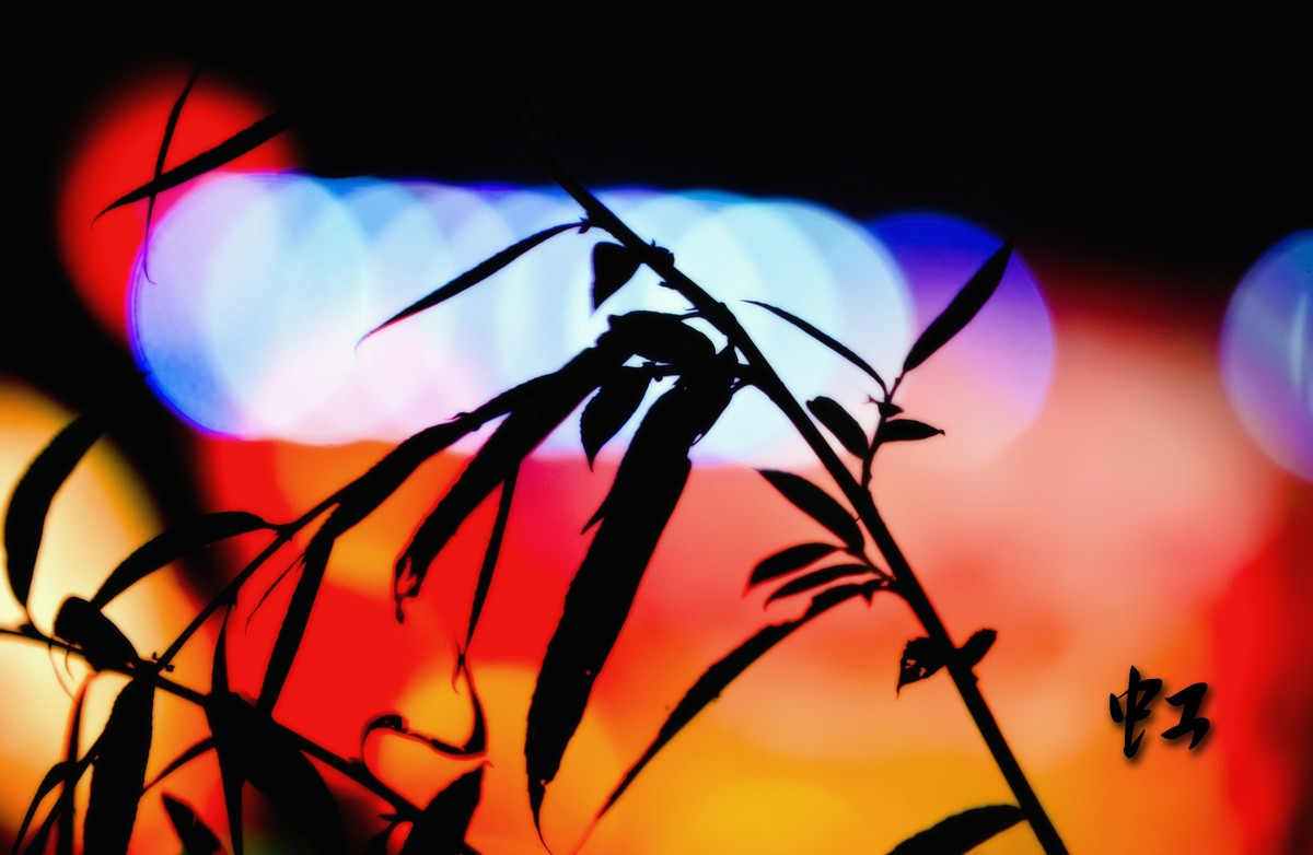 纯新手试拍“小老婆”，某宝1800?入手，觉得挺值O(∩_∩)O~