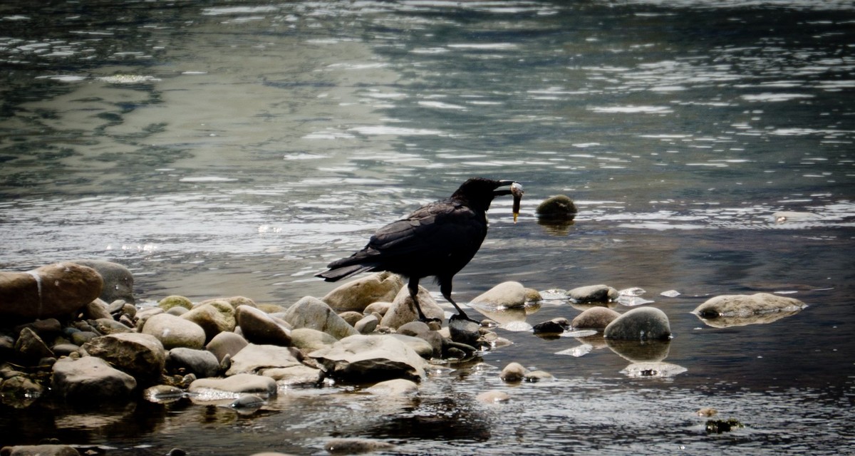 纯新手试拍“小老婆”，某宝1800?入手，觉得挺值O(∩_∩)O~