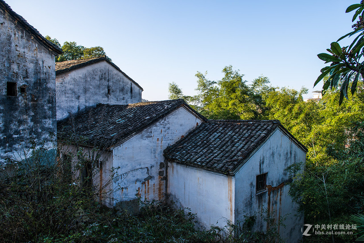 竹林小屋2015.11.26.