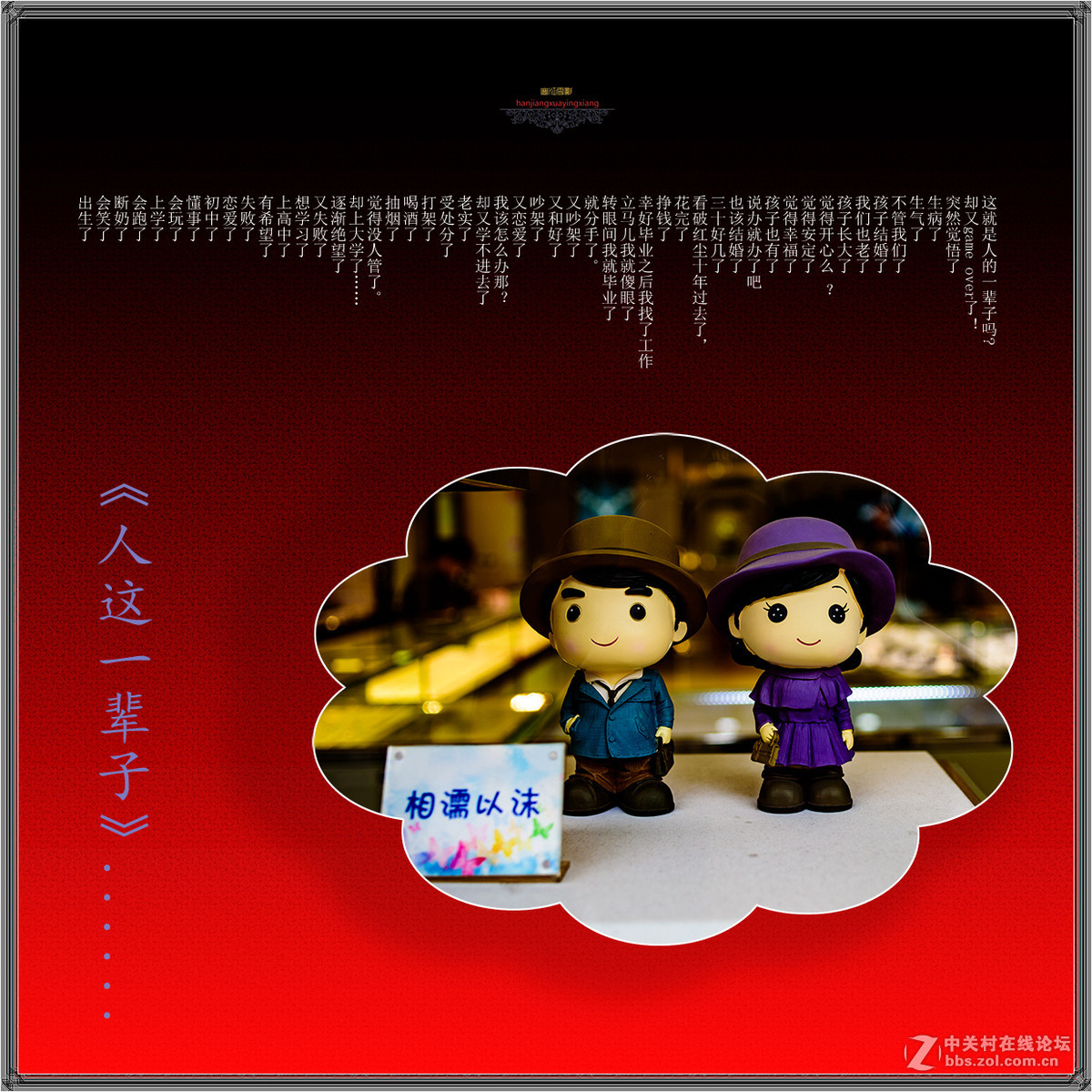 [静物特写] 《人这一辈子》......