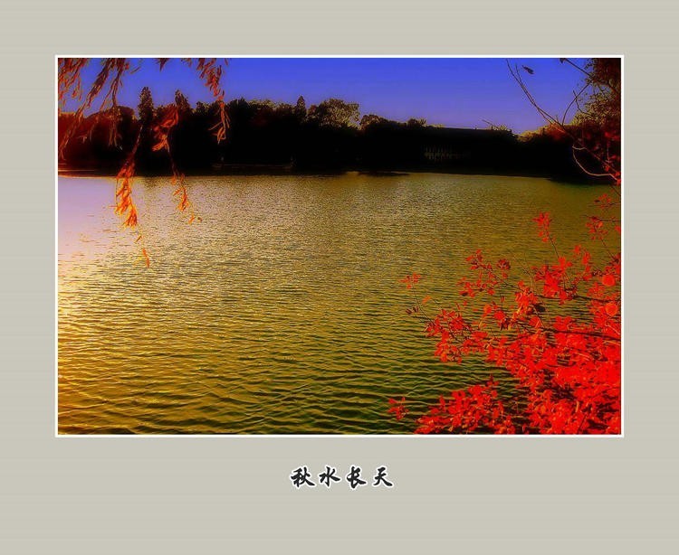 #佳能月赛-秋高气爽#秋水长天