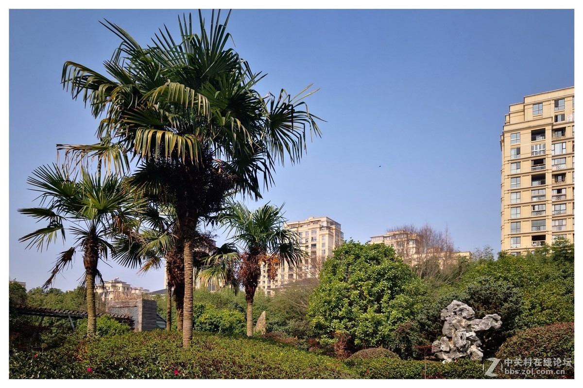 春节假期手机随拍！