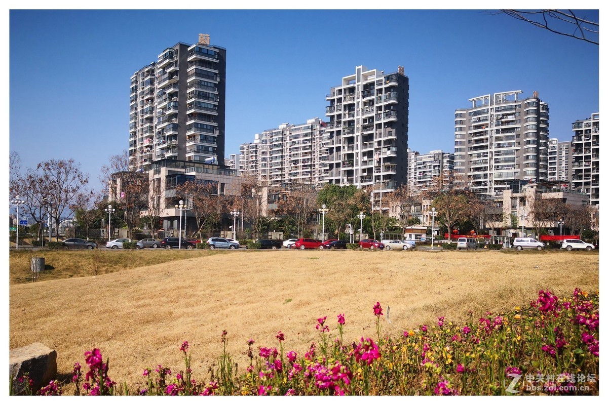 春节假期手机随拍！