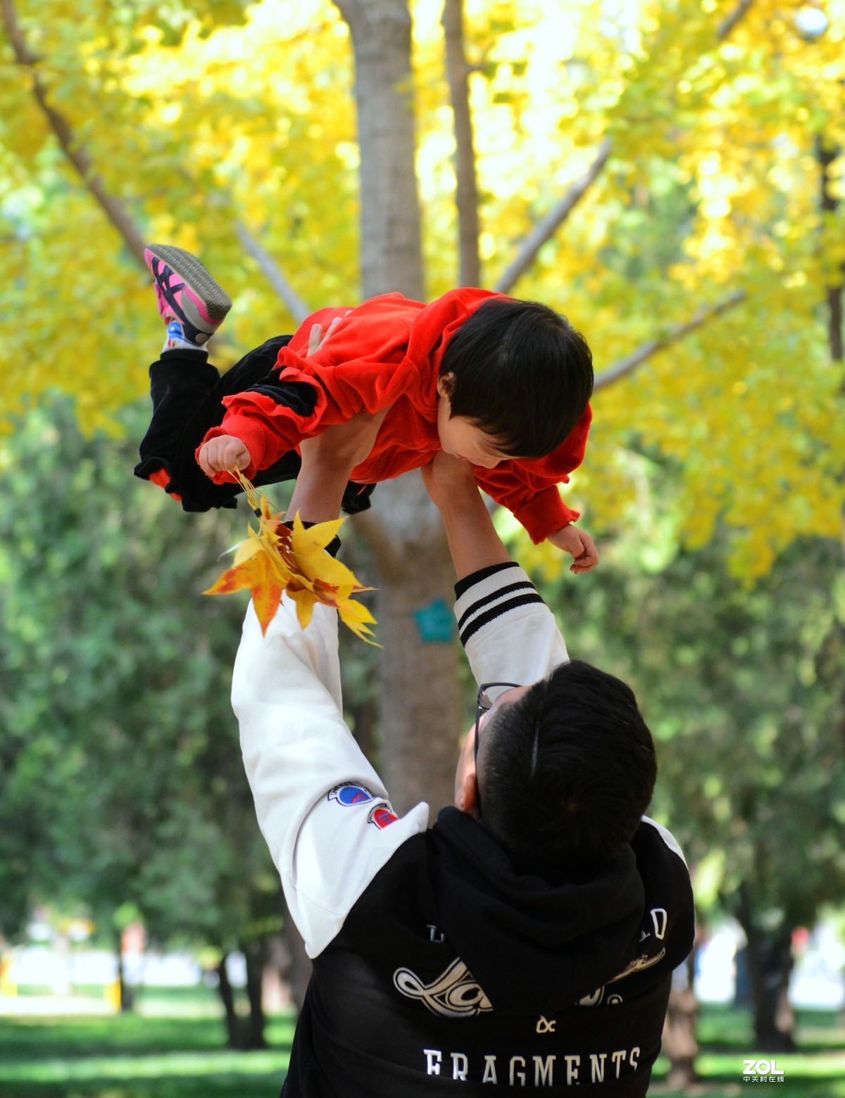 #ZOL月赛晒秋#金秋乐