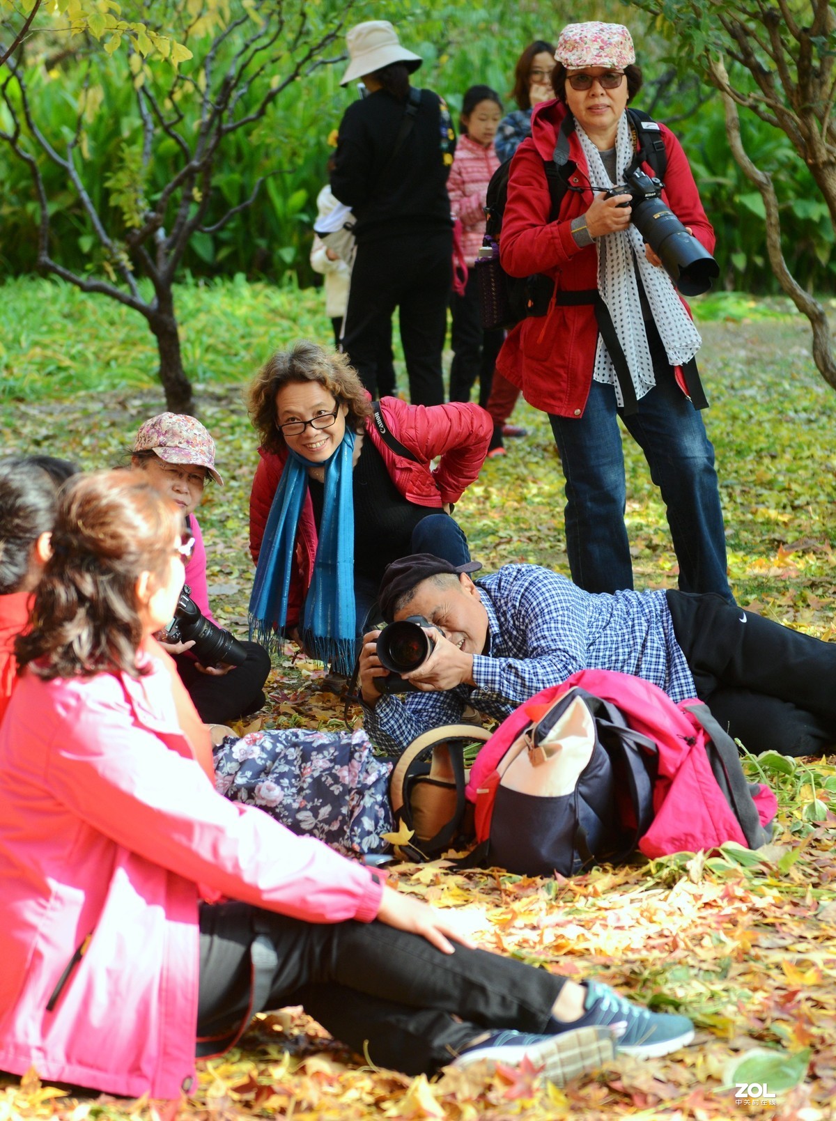 #ZOL月赛晒秋#金秋乐