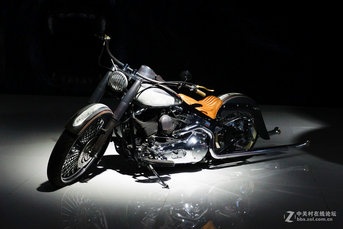 青岛拍车展非MM