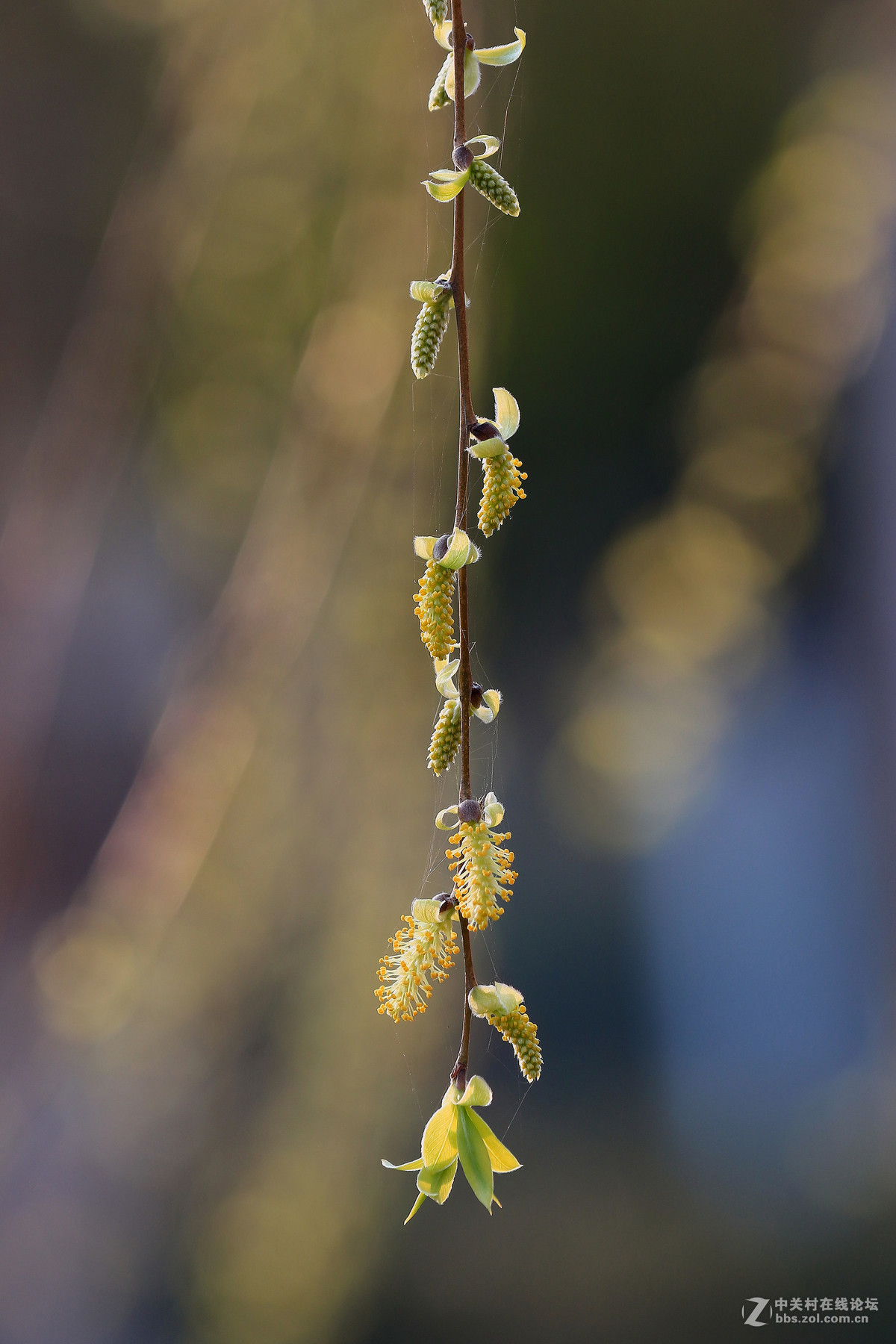清晨随拍～～～～～～～～