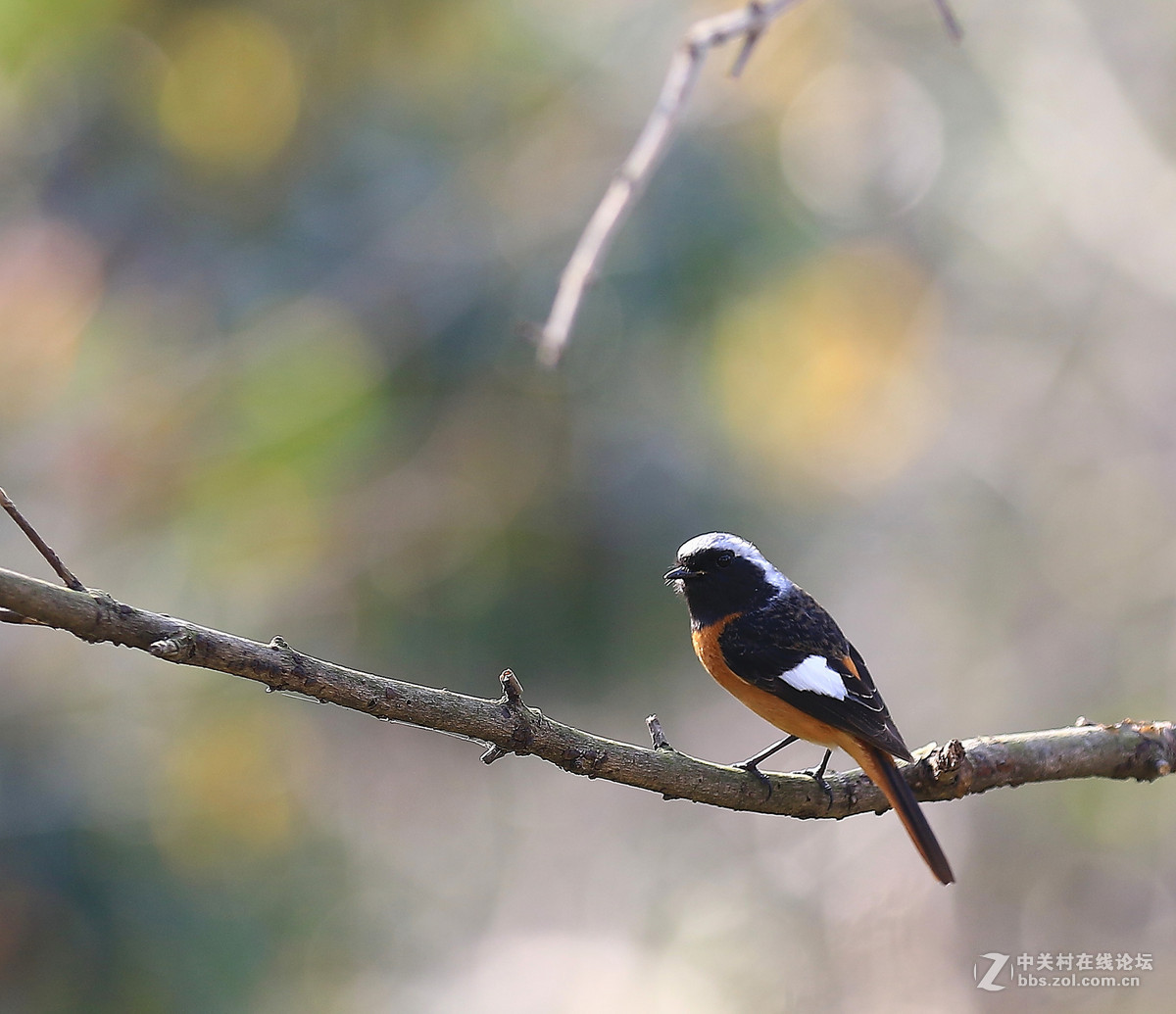 清晨随拍～～～～～～～～