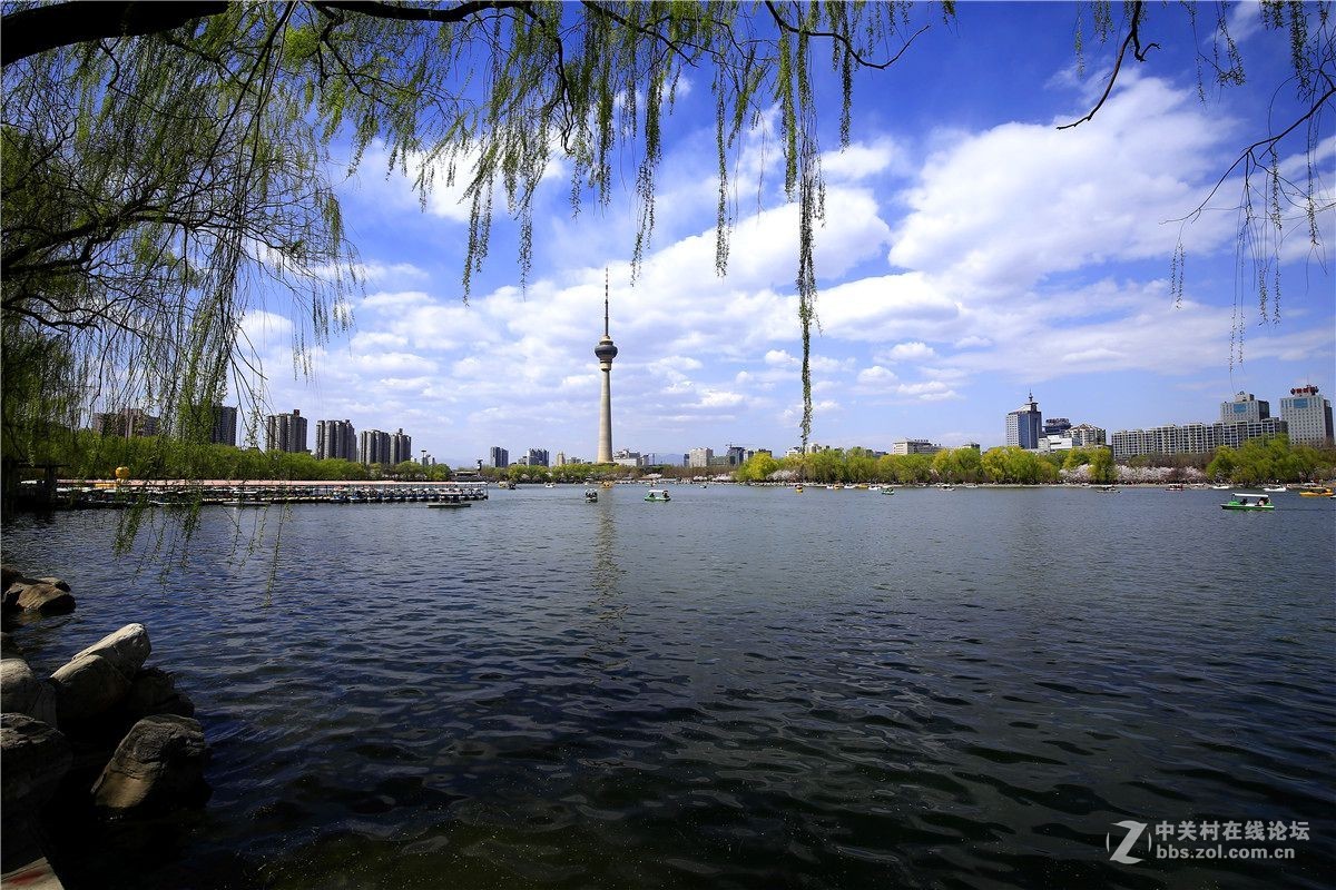 玉渊潭春景1.