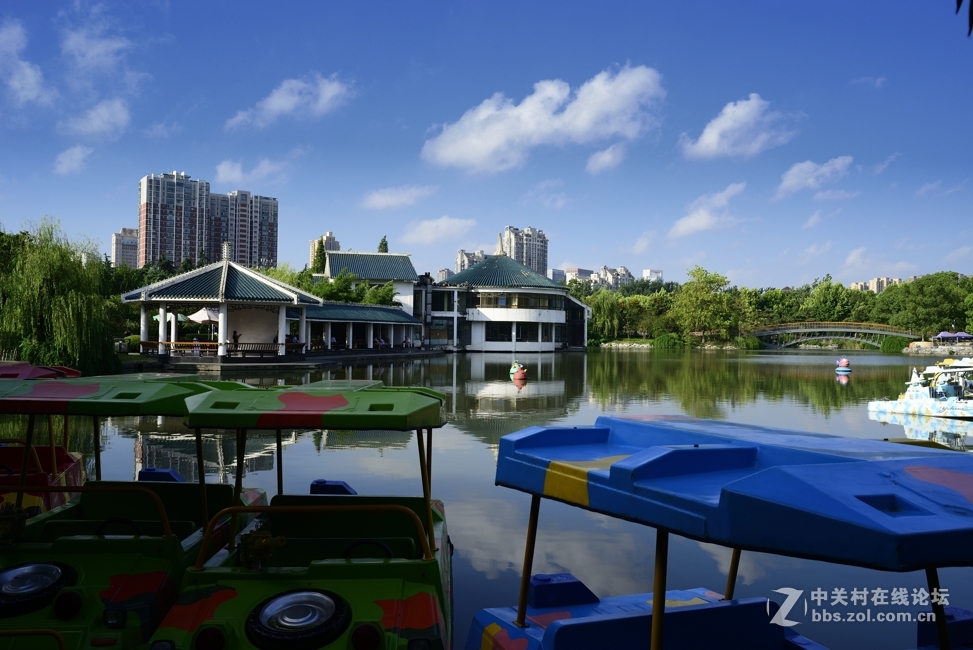 d800+ai28 2.8随拍几张：盛夏