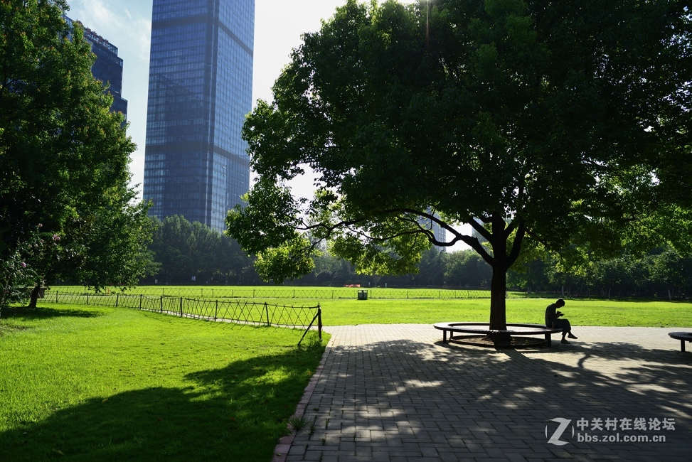 d800+ai28 2.8随拍几张：盛夏