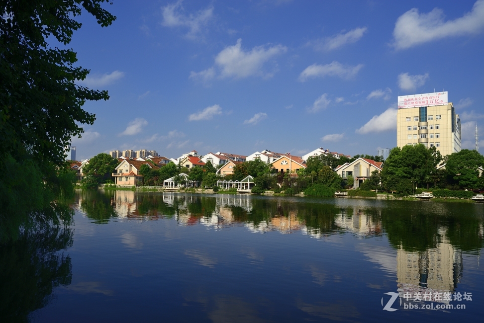 d800+ai28 2.8随拍几张：盛夏