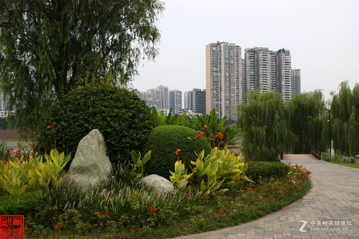 乐山城市公园小拍