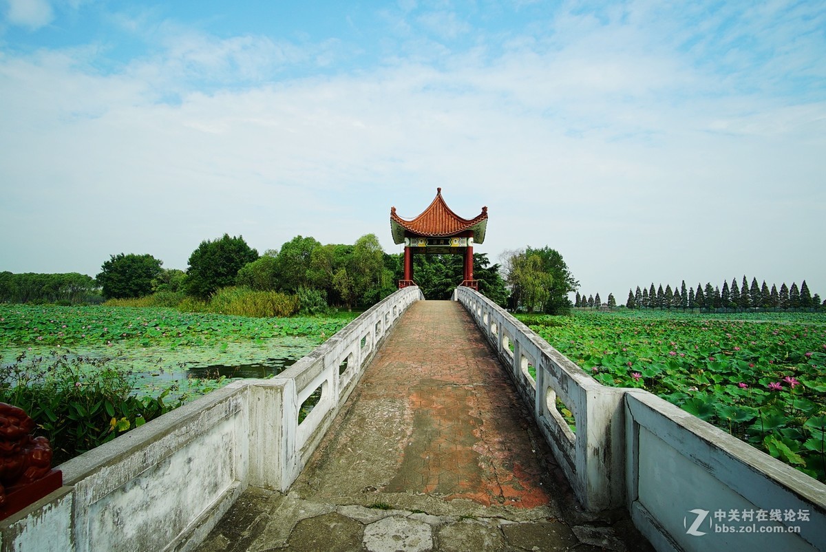 洪湖美景