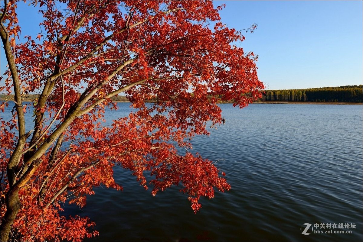 休闲随拍（330）