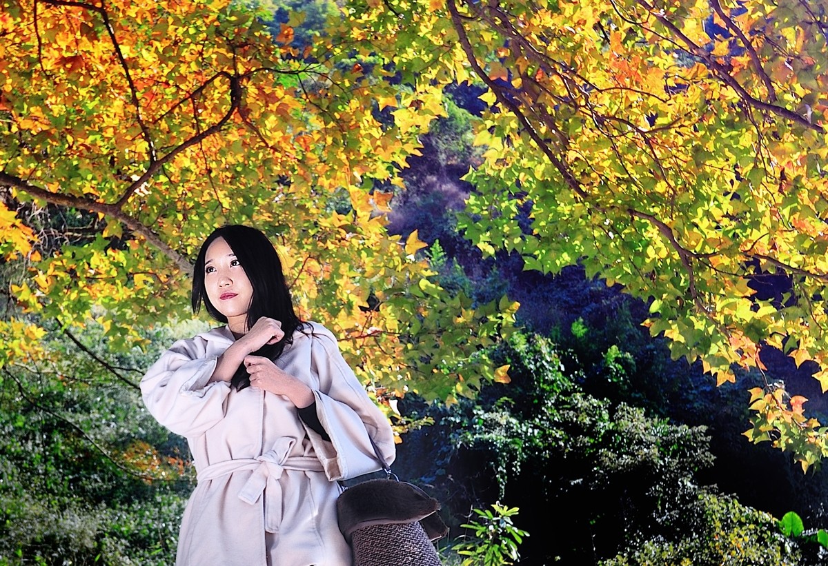 捡起暗恋的黄叶