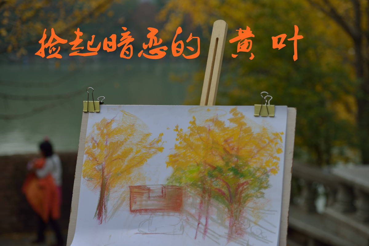 捡起暗恋的黄叶