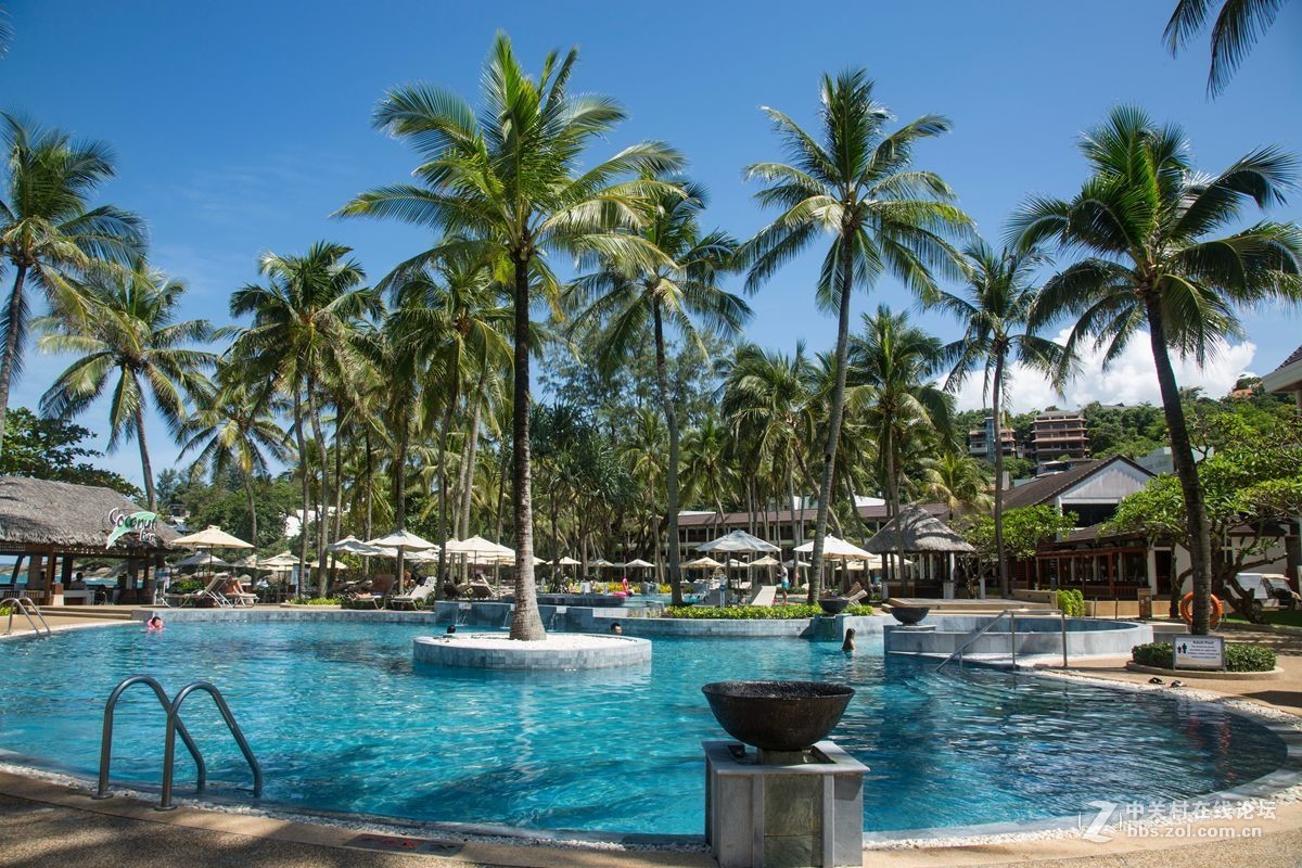 酒店的泳池景观