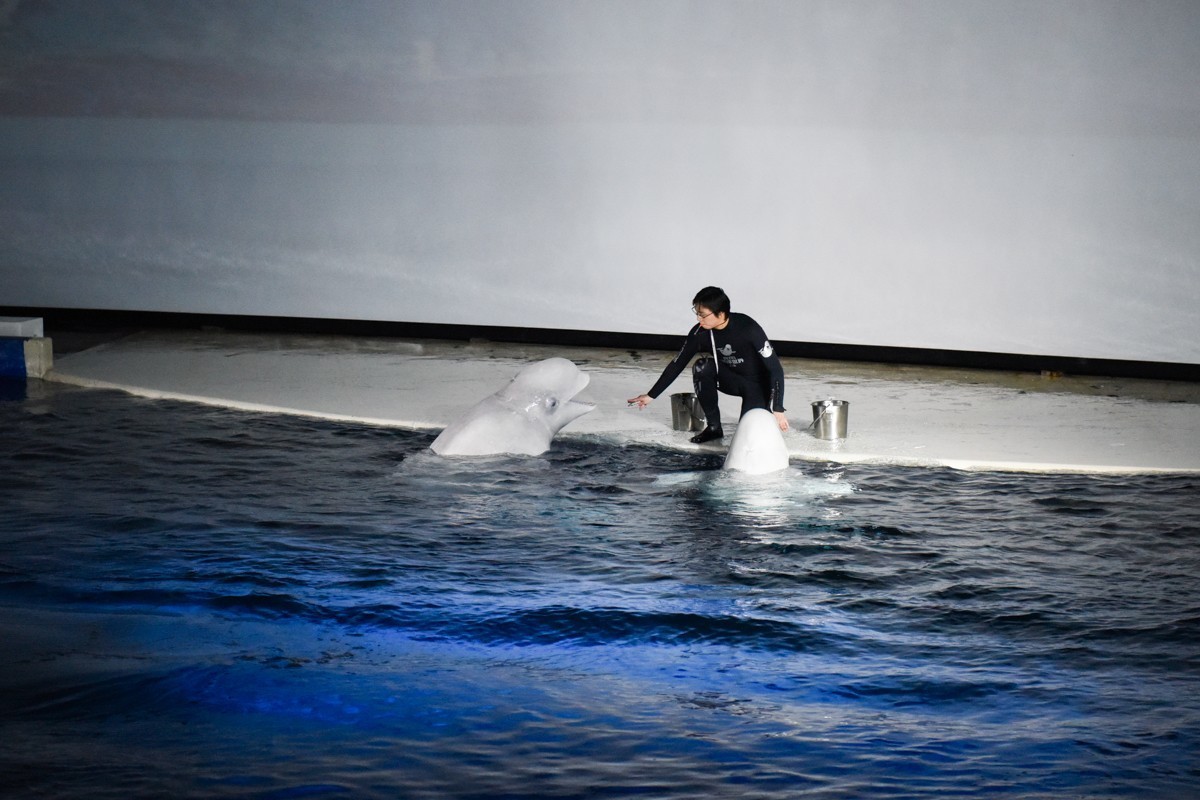 家。。。。。。。。。。。。。